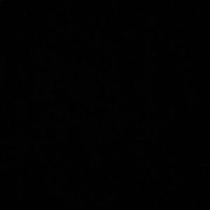 Meet your Posher, Laine